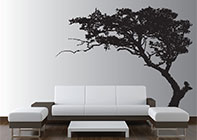 Wall Decals